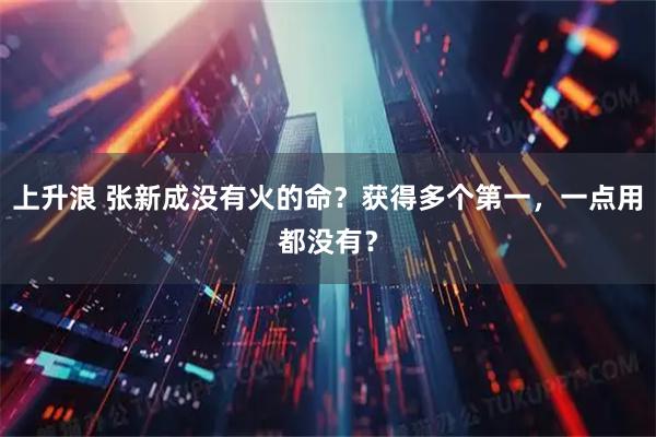 上升浪 张新成没有火的命？获得多个第一，一点用都没有？